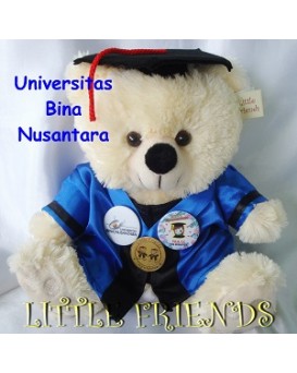 Boneka Wisuda Bina Nusantara University (30 cm)